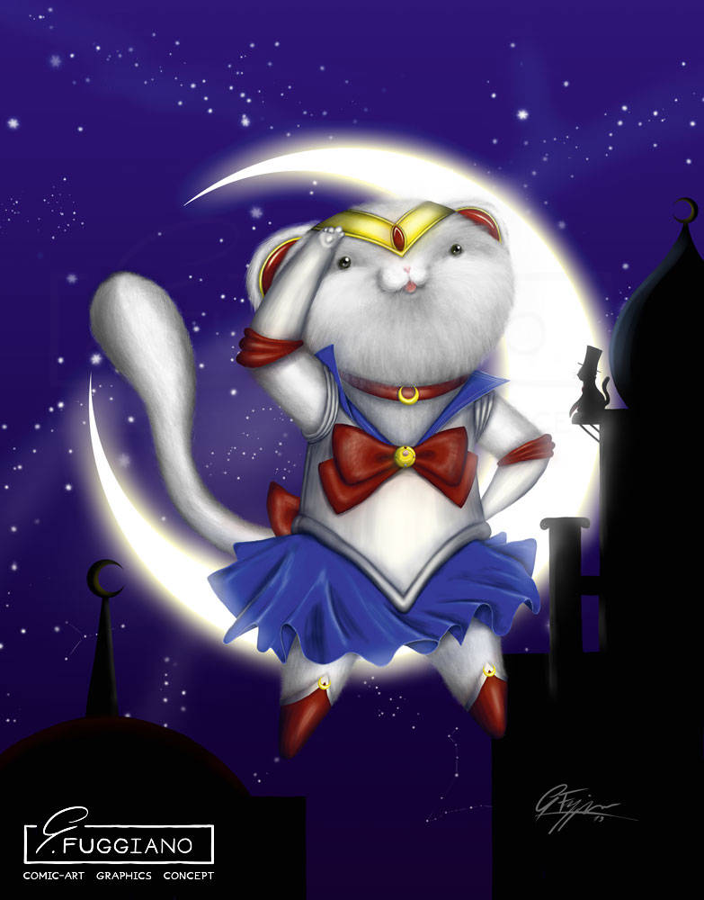 Sailor Kitten